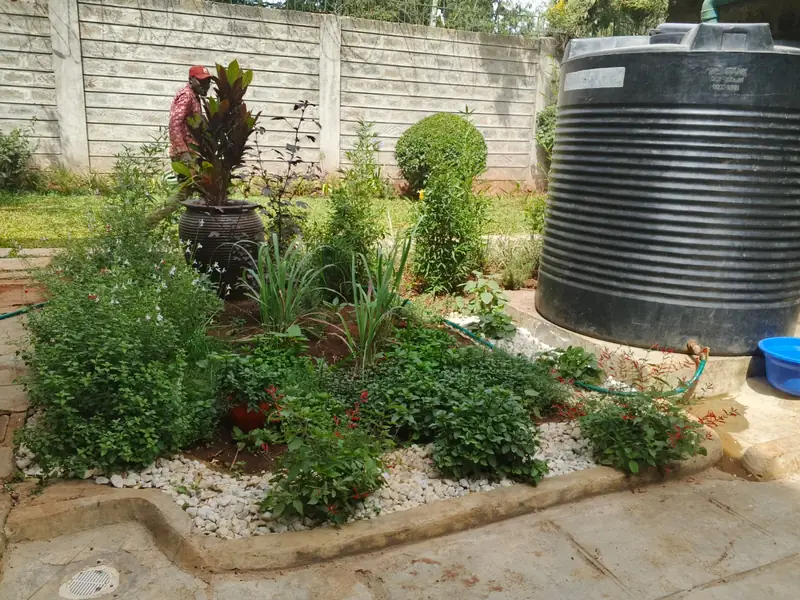 After: The bed by the water tank after rehabilitation: layered shrubs and white pebble mulch