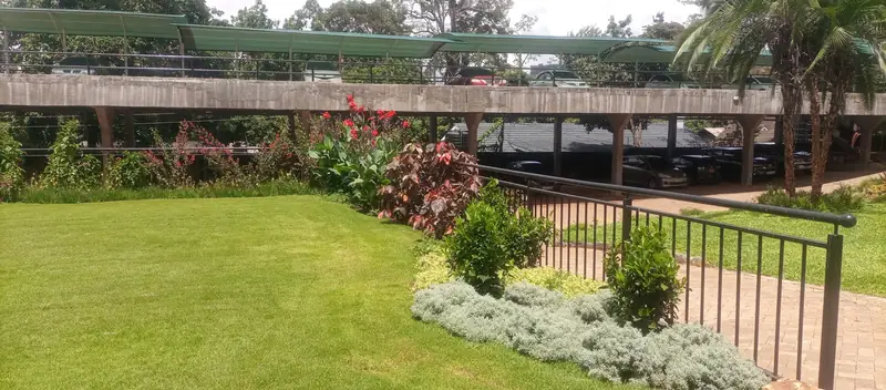Planted bank with cannas and silver ground cover beside a path and railing, NIA headquarters
