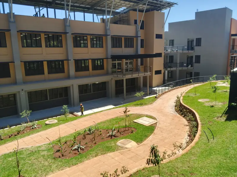 Curving red paths and young planting in a courtyard at the UN complex